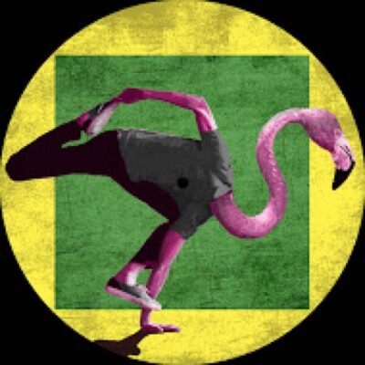 cover Flamingo Hipanema