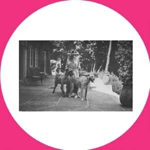 Crib Goch (Red Ridge)