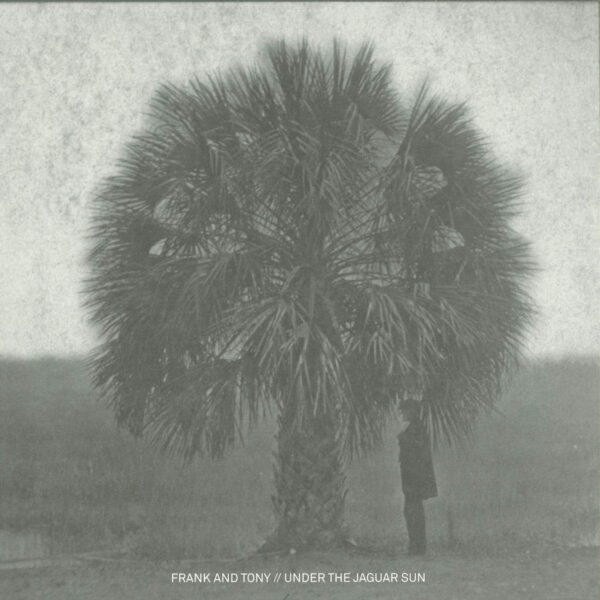 Under The Jaguar Sun