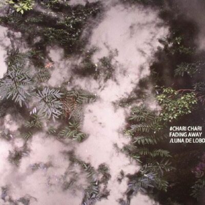 Fading Away / Luna de Lobos