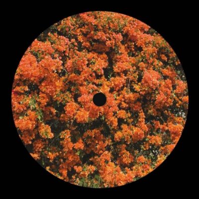 Came Home From Work And Your House Was Missing