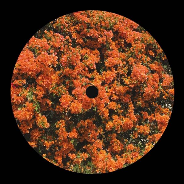 Came Home From Work And Your House Was Missing