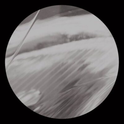 tt001_a Totally Together 001