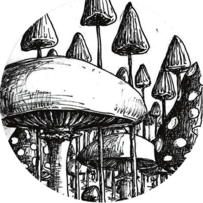 Sound Carrier Records 009