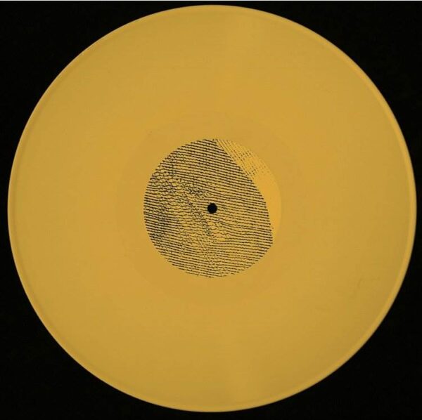 montagefaceB Architecture