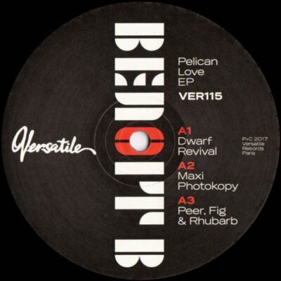 VER115sleeve Pelican Love