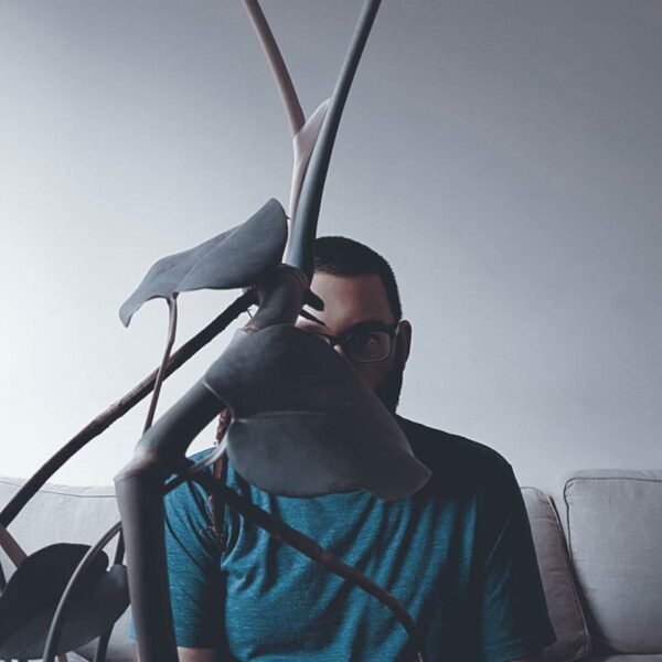 NoSR007_Artist Medea / Inflict