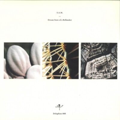 Dream State Of A Bellmaker