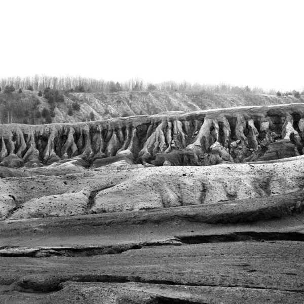 Meander20.3_Cover Family Jubilee II (Meander 20.3)