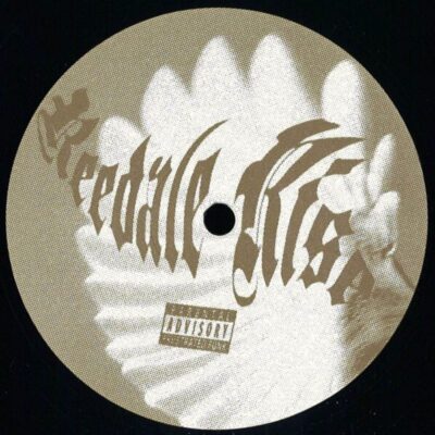 237312 Light Through A Birds Wing