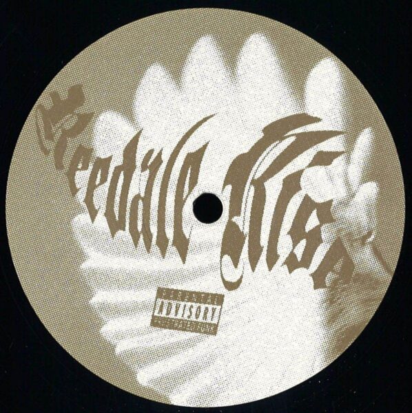 Light Through A Birds Wing