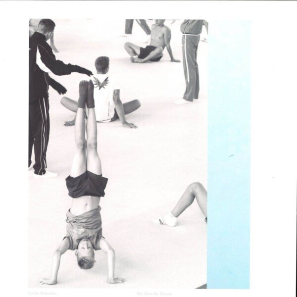 279393 We Must Be Woods