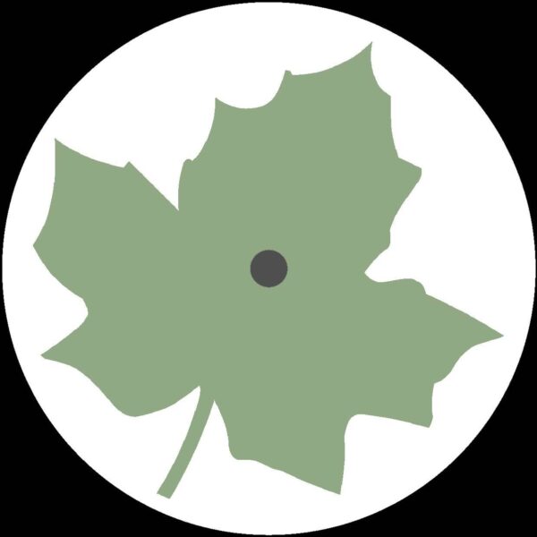 Blurred Memories Beyond The City Of Broken Dreams