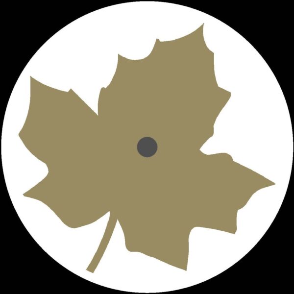 Blurred Memories Beyond The City Of Broken Dreams