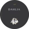 DAHLIA 998