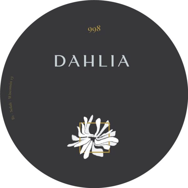 DAHLIA 998