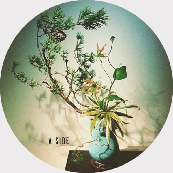 STPV003_front From Paris To Tokyo