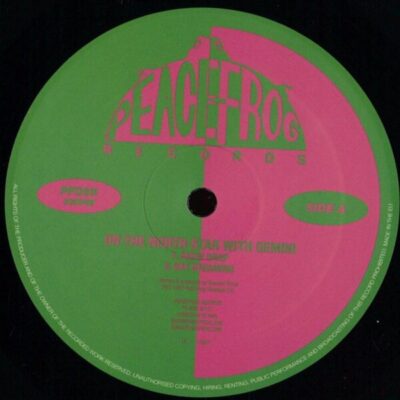 On The North Star With Gemini