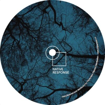 Shaman Among The Machines