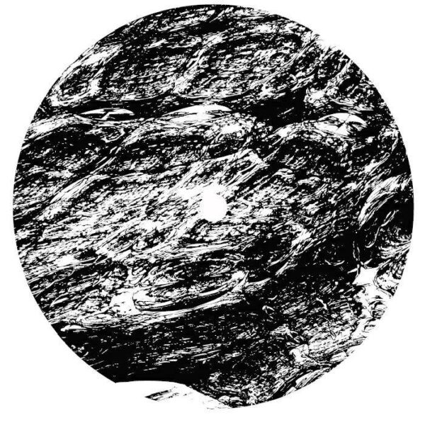 Potential Natural Vegetation