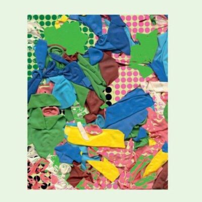 Bluebird / Number 13