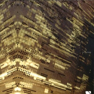 For Real We Are Not For You