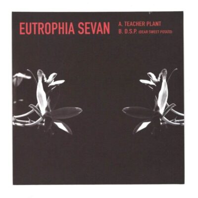 Eutrophia Sevan