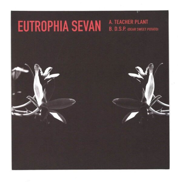 Eutrophia Sevan