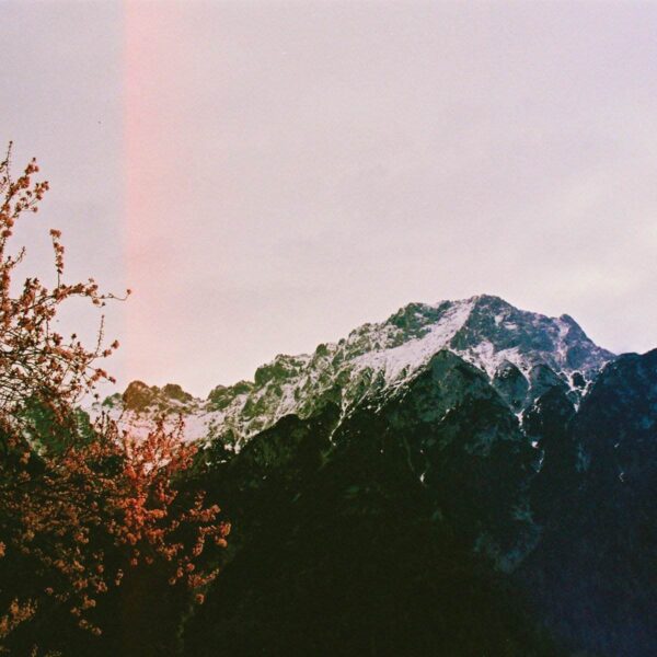 307713 Things Won't Change