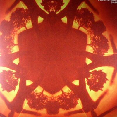 CS507850-01A-BIG Geogaddi