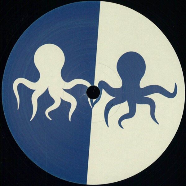 Aunt Wendy's Wedding In Wales