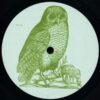 Untitled [Owl 002]