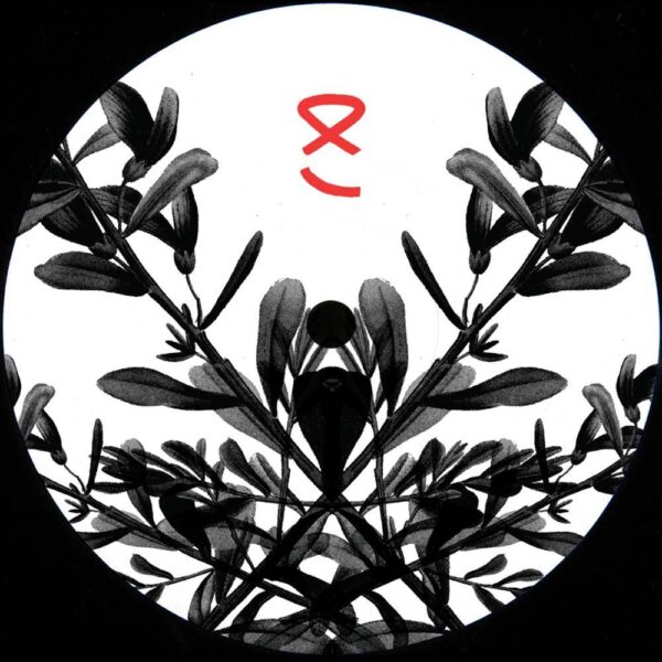 Numerous Agnomens Vol. II