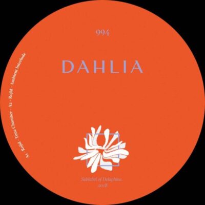 DAHLIA994_A DAHLIA994