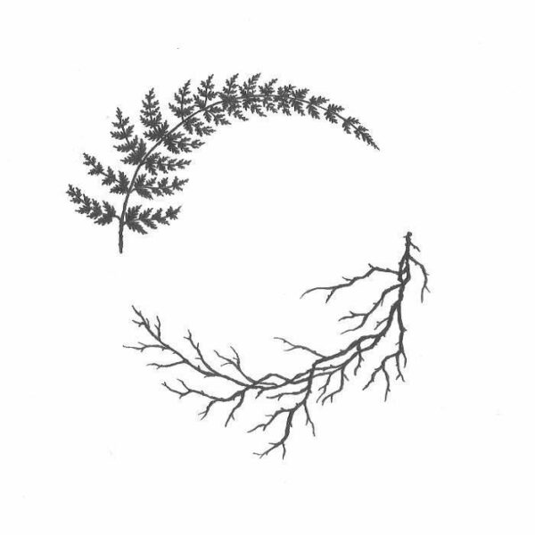 SSV14 Unison / Einklang