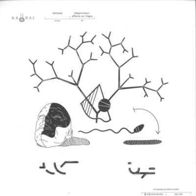 Waterlemon As Viagra