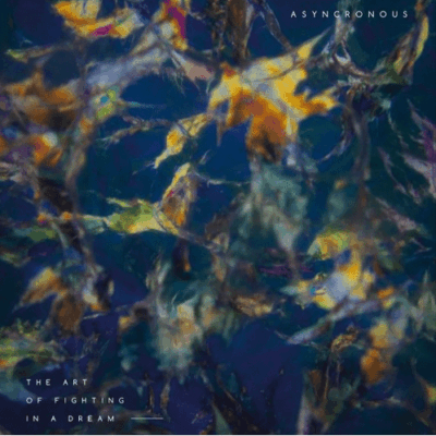 The Art of Fighting in a Dream