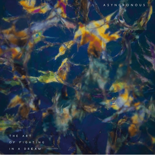 The Art of Fighting in a Dream