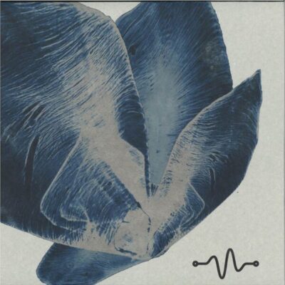 Oscillate Tracks 002