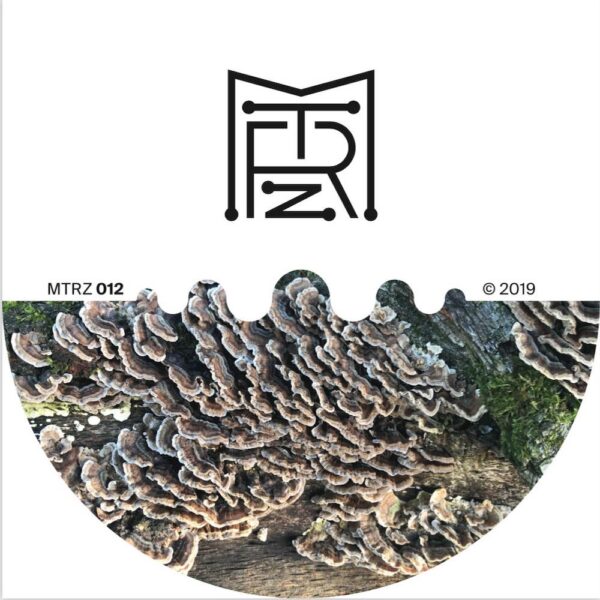 937502 A Better Future To Long