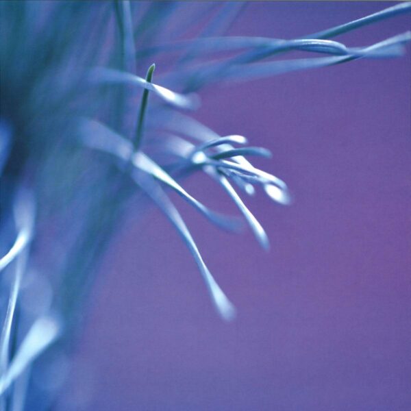 Moving Through Illusions