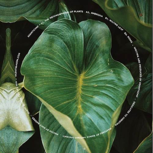 The Metamorphosis of Plants