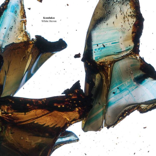 White Heron-3_enlarged_digicover White Heron