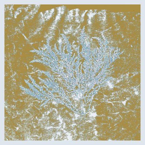 -p-image-30830-grande For Those Of You Who Have Never (And Also Those Who Have)