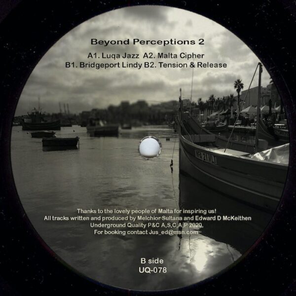 Beyond Perceptions 2