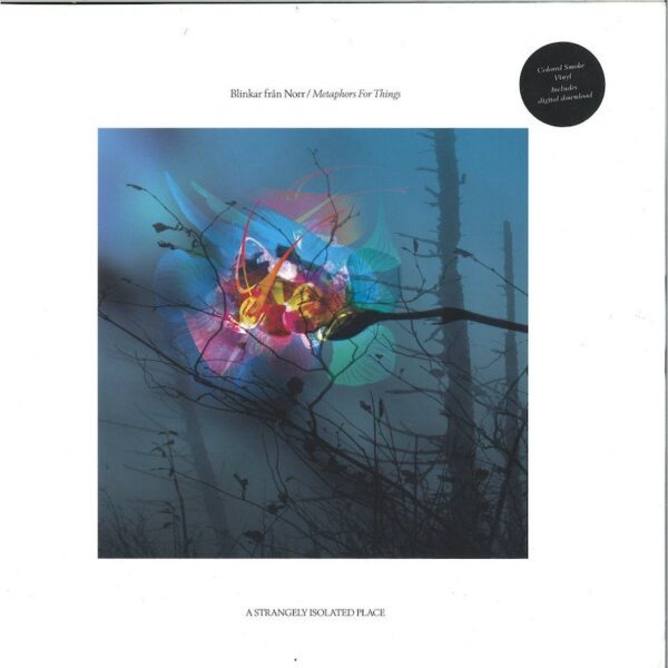 ASIPV022 Metaphors For Things