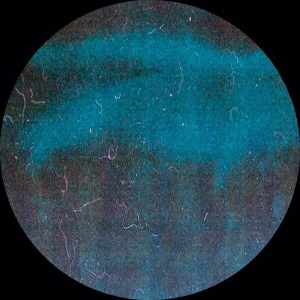 OPIA007 Temporal Rift