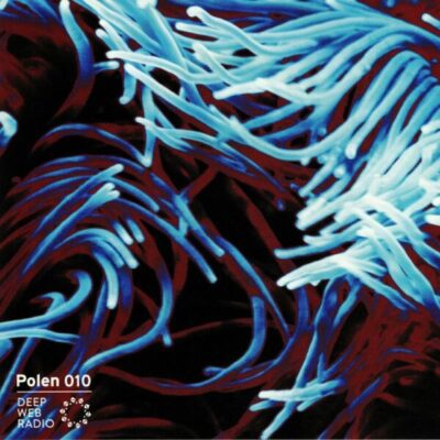 Smisikis Hidden Adventure In Cyberspace