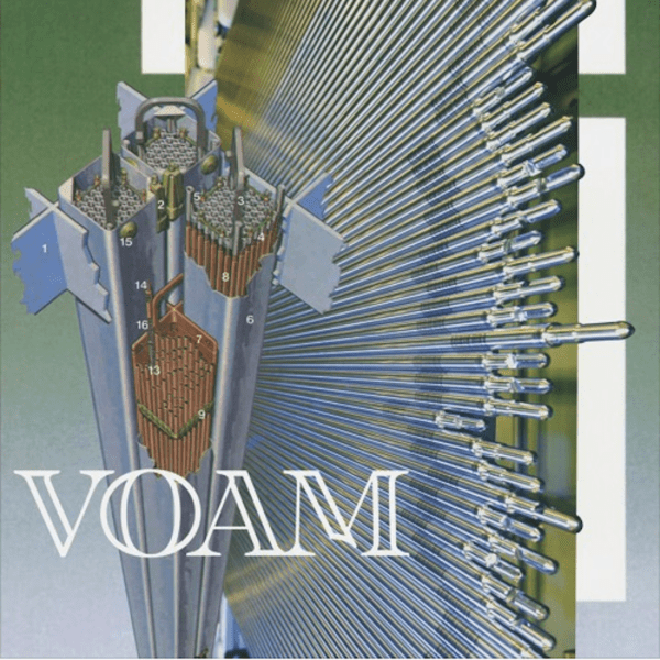 Portraits of a Collective Hallucination