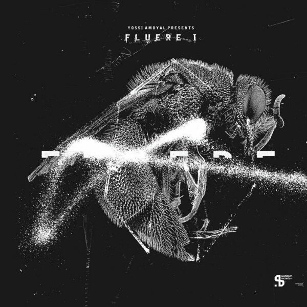 Yossi Amoyal Presents Fluere I